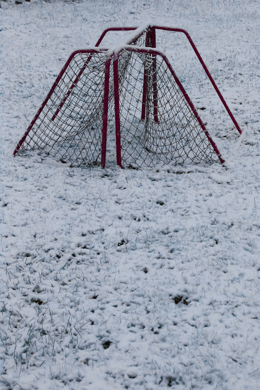 innebandy ska kanske ersättas av ishockey