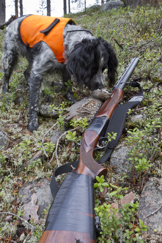 Rex, en järpe och min hagelbock.