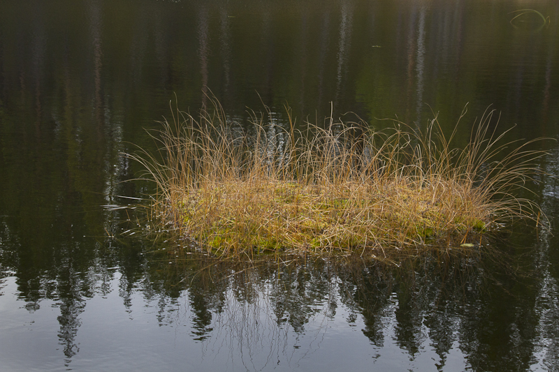 En liten gräsö