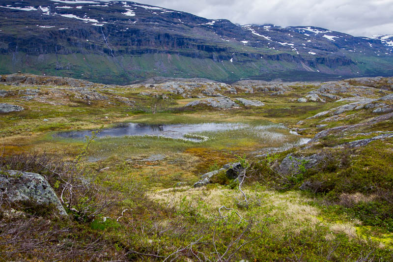 Vy från leden