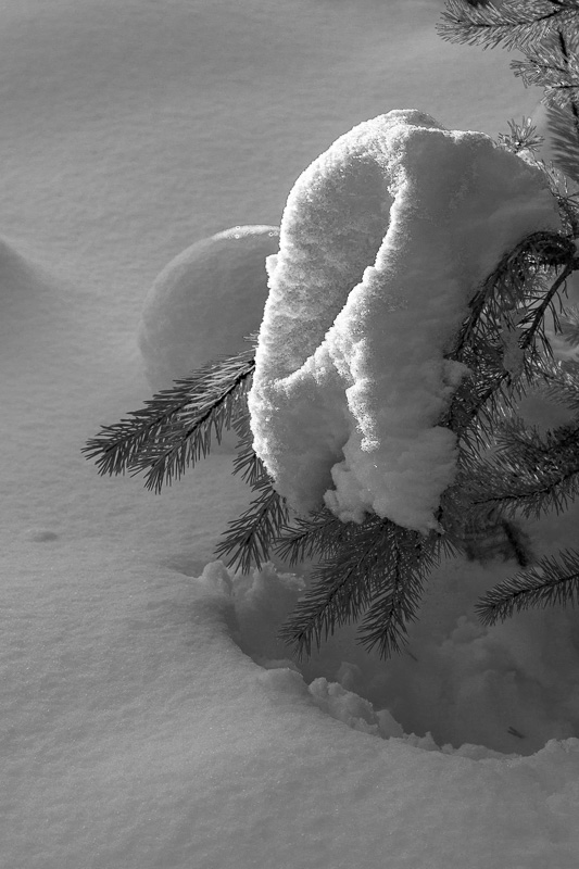 Naturens egen snöskulptur.
